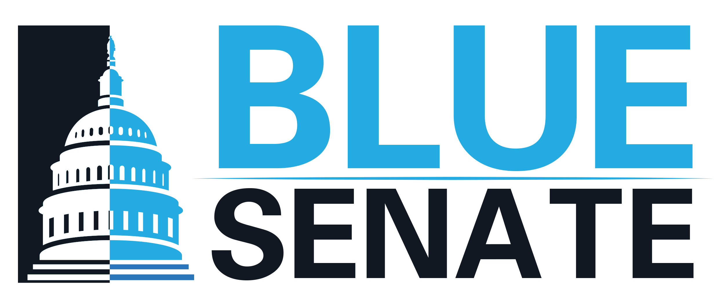 Blue Senate PAC
