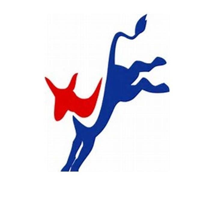 Lisle Township Democratic Organization (IL)