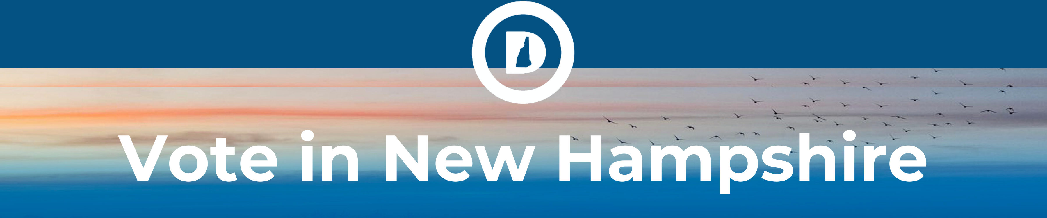 New Hampshire Democratic Party- Federal Account