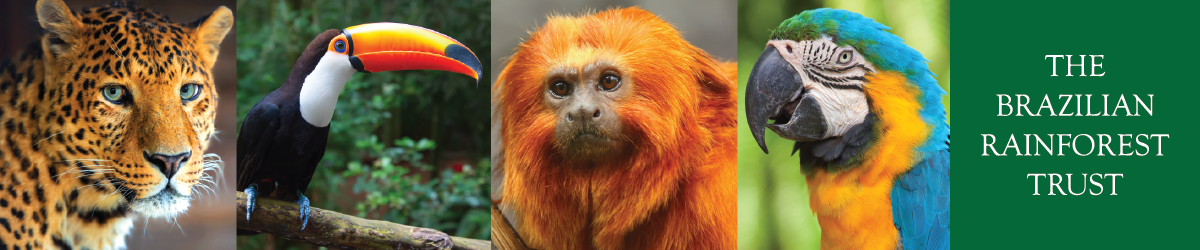 Brazilian Rainforest Trust