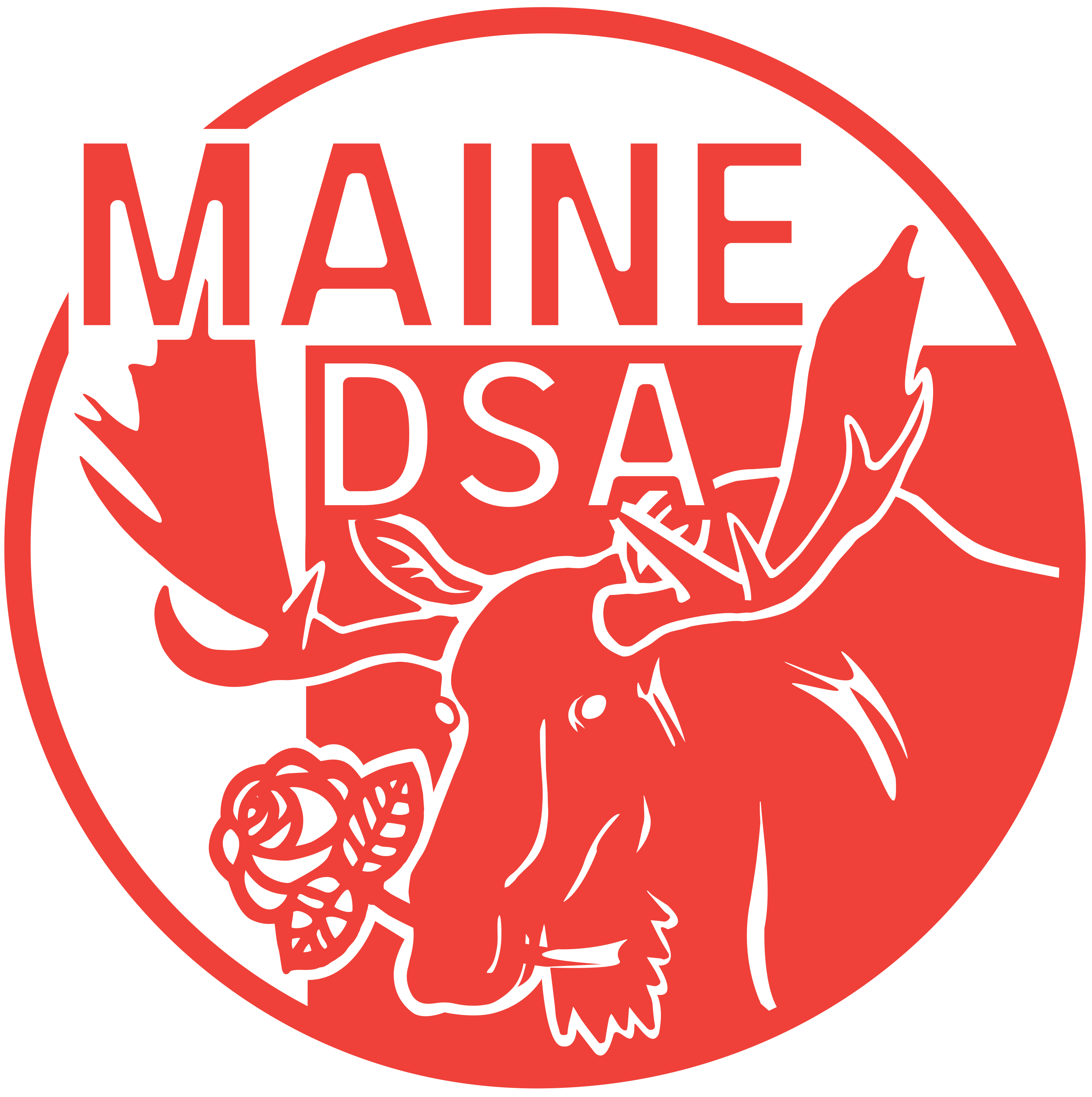 Maine DSA