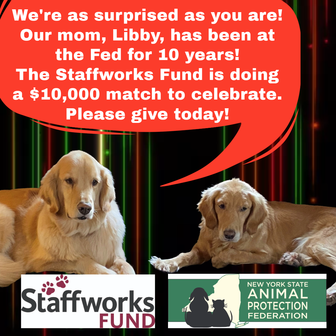 NYSAPF Education Fund