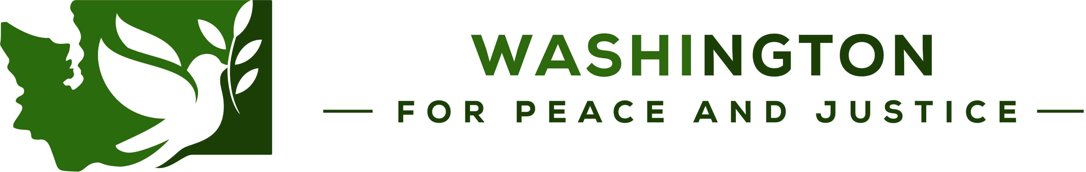 Washington for Peace and Justice
