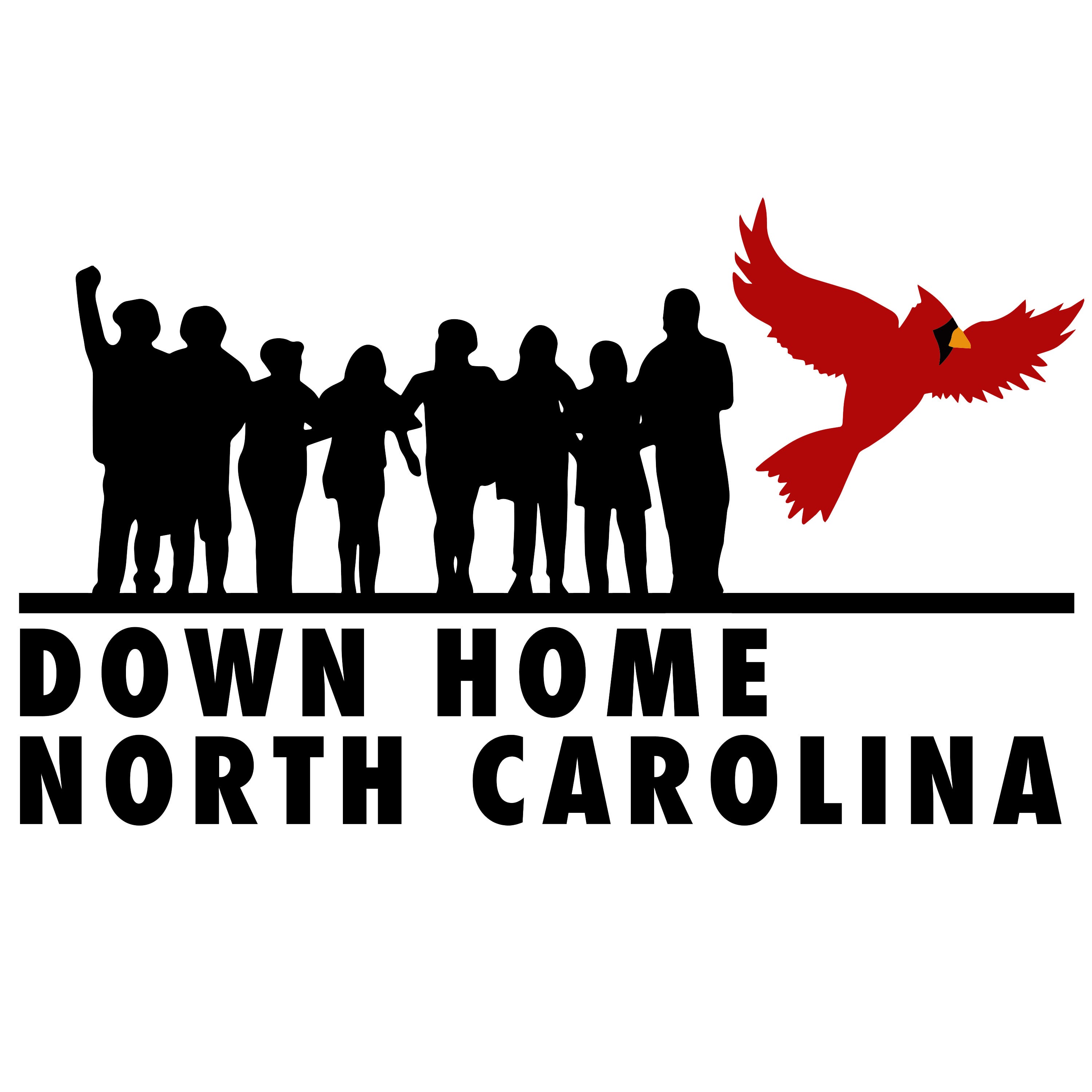 Down Home NC IE PAC