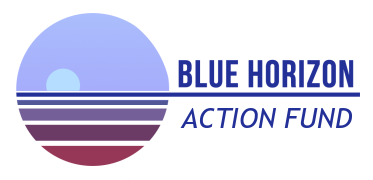 Blue Horizon Action Fund