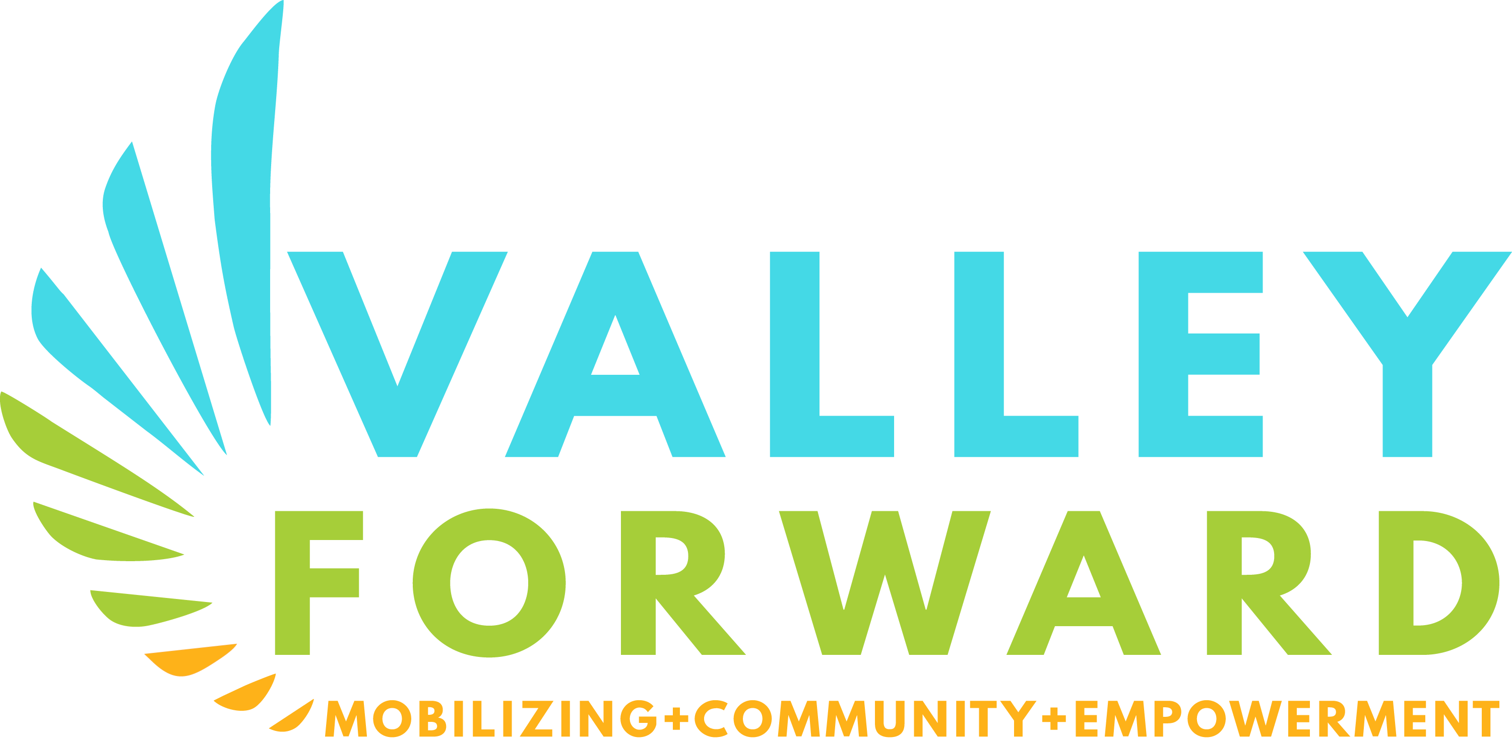 Valley Forward Action Fund