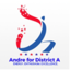 Image of Andre Johnson