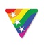 Image of Stonewall DFL Caucus