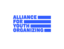 Image of Alliance for Youth Organizing