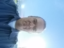 Image of Vance Hansen
