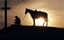 Image of Fallen Horse Rescue Inc