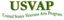 Image of United States Veterans Arts Program (USVAP)