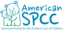 Image of American SPCC
