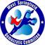 Image of West Springfield Democratic Committee (MA)