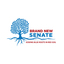 Image of Brand New Senate